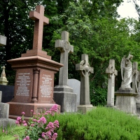 Highgate Cemetery - visit to a living beauty
